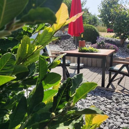 Ferienwohnung Moselzeit Alken Buitenkant foto