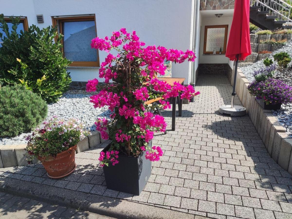 Ferienwohnung Moselzeit Alken Buitenkant foto